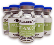 Practi-Vaccne B™ 411VB