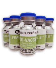Practi-Vaccne B™ 411VB